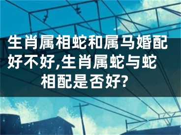 生肖属相蛇和属马婚配好不好,生肖属蛇与蛇相配是否好?