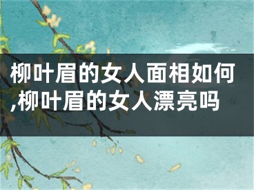 柳叶眉的女人面相如何,柳叶眉的女人漂亮吗