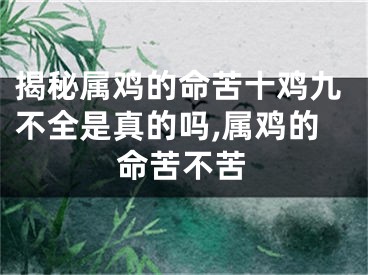 揭秘属鸡的命苦十鸡九不全是真的吗,属鸡的命苦不苦