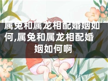 属兔和属龙相配婚姻如何,属兔和属龙相配婚姻如何啊