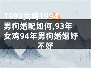 1993女鸡1994男狗婚配如何,93年女鸡94年男狗婚姻好不好