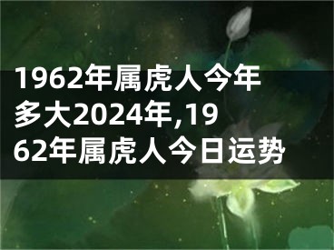 1962年属虎人今年多大2024年,1962年属虎人今日运势