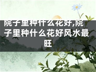 院子里种什么花好,院子里种什么花好风水最旺