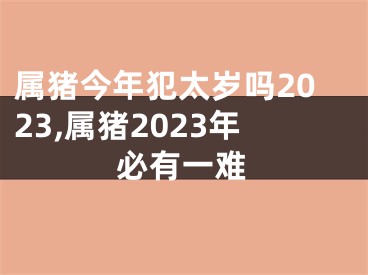 属猪今年犯太岁吗2023,属猪2023年必有一难