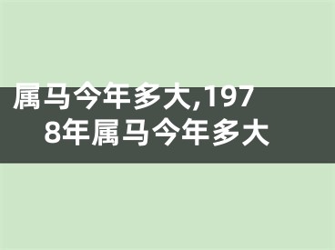 属马今年多大,1978年属马今年多大