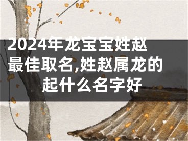 2024年龙宝宝姓赵最佳取名,姓赵属龙的起什么名字好