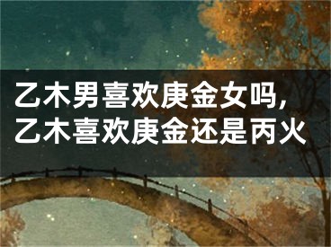 乙木男喜欢庚金女吗,乙木喜欢庚金还是丙火