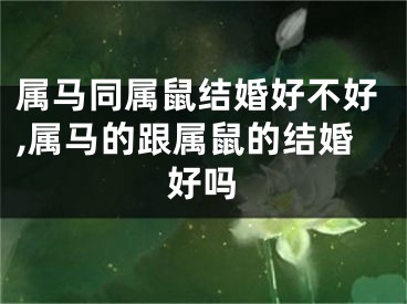 属马同属鼠结婚好不好,属马的跟属鼠的结婚好吗