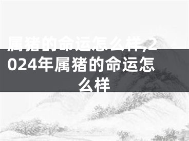 属猪的命运怎么样,2024年属猪的命运怎么样