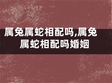 属兔属蛇相配吗,属兔属蛇相配吗婚姻