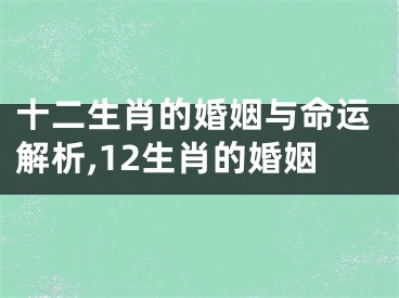 十二生肖的婚姻与命运解析,12生肖的婚姻