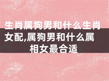 生肖属狗男和什么生肖女配,属狗男和什么属相女最合适