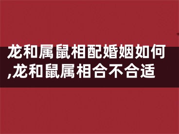 龙和属鼠相配婚姻如何,龙和鼠属相合不合适