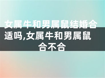 女属牛和男属鼠结婚合适吗,女属牛和男属鼠合不合