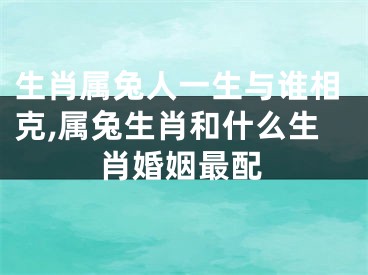 生肖属兔人一生与谁相克,属兔生肖和什么生肖婚姻最配