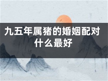 九五年属猪的婚姻配对什么最好