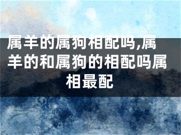 属羊的属狗相配吗,属羊的和属狗的相配吗属相最配