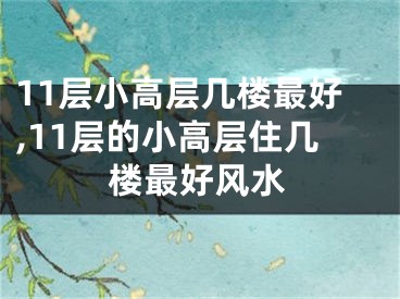 11层小高层几楼最好,11层的小高层住几楼最好风水