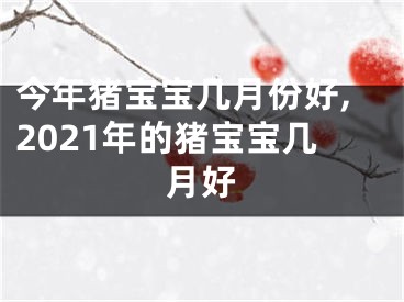 今年猪宝宝几月份好,2021年的猪宝宝几月好