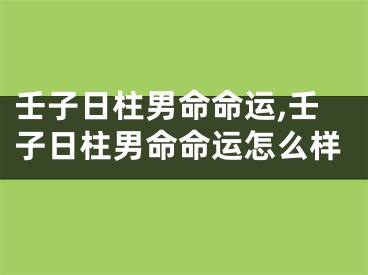 壬子日柱男命命运,壬子日柱男命命运怎么样