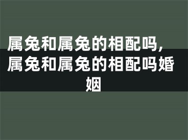 属兔和属兔的相配吗,属兔和属兔的相配吗婚姻