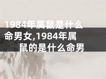 1984年属鼠是什么命男女,1984年属鼠的是什么命男