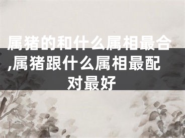 属猪的和什么属相最合,属猪跟什么属相最配对最好