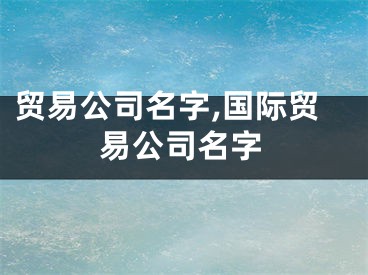 贸易公司名字,国际贸易公司名字