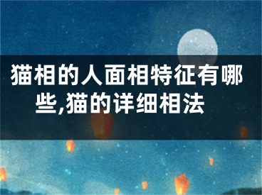 猫相的人面相特征有哪些,猫的详细相法