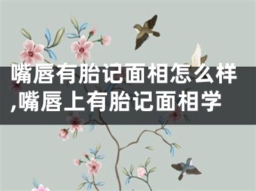 嘴唇有胎记面相怎么样,嘴唇上有胎记面相学