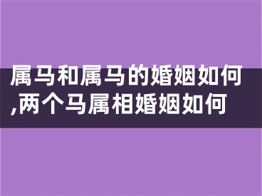 属马和属马的婚姻如何,两个马属相婚姻如何