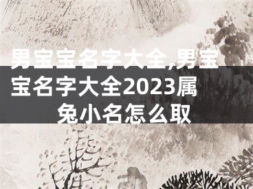 男宝宝名字大全,男宝宝名字大全2023属兔小名怎么取