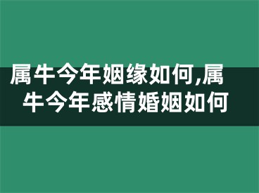 属牛今年姻缘如何,属牛今年感情婚姻如何