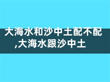 大海水和沙中土配不配,大海水跟沙中土