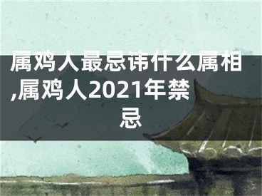 属鸡人最忌讳什么属相,属鸡人2021年禁忌