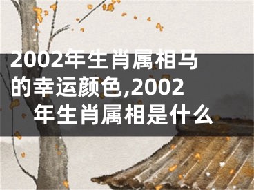 2002年生肖属相马的幸运颜色,2002年生肖属相是什么