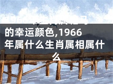 1966年生肖属相马的幸运颜色,1966年属什么生肖属相属什么