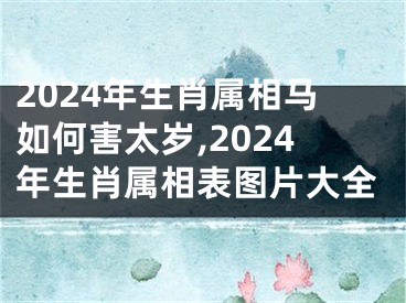 2024年生肖属相马如何害太岁,2024年生肖属相表图片大全