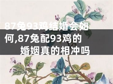 87兔93鸡结婚会如何,87兔配93鸡的婚姻真的相冲吗