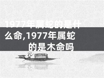 1977年属蛇的是什么命,1977年属蛇的是木命吗