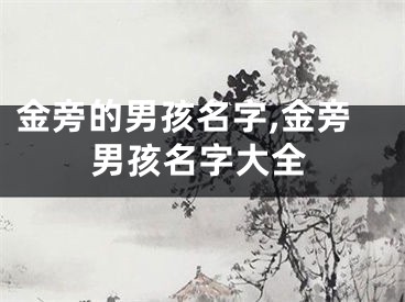 金旁的男孩名字,金旁男孩名字大全