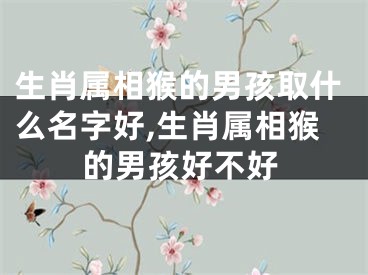 生肖属相猴的男孩取什么名字好,生肖属相猴的男孩好不好