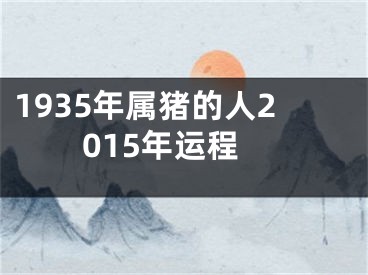 1935年属猪的人2015年运程