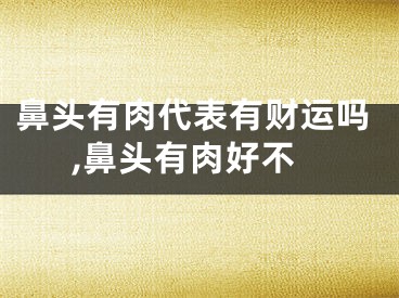 鼻头有肉代表有财运吗,鼻头有肉好不