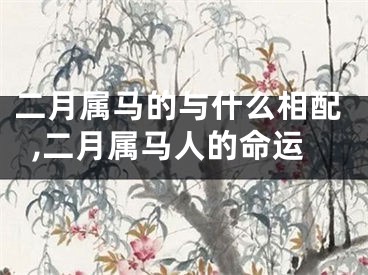 二月属马的与什么相配,二月属马人的命运