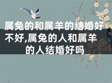 属兔的和属羊的结婚好不好,属兔的人和属羊的人结婚好吗