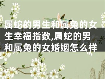 属蛇的男生和属兔的女生幸福指数,属蛇的男和属兔的女婚姻怎么样