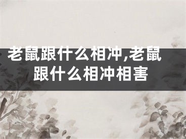 老鼠跟什么相冲,老鼠跟什么相冲相害