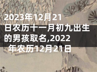 2023年12月21日农历十一月初九出生的男孩取名,2022年农历12月21日