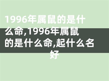 1996年属鼠的是什么命,1996年属鼠的是什么命,起什么名好